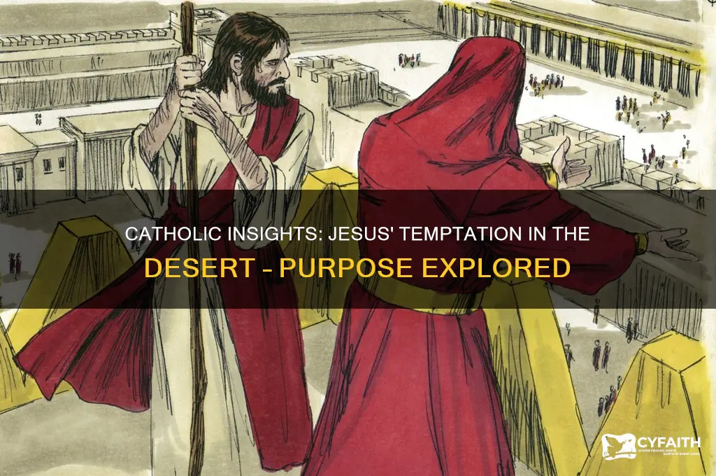 was jesus sent to the desert to be tempted catholic