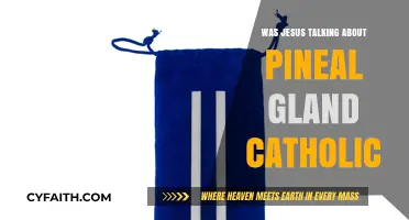 Jesus, Pineal Gland, and Catholic Teachings: What's the Link?