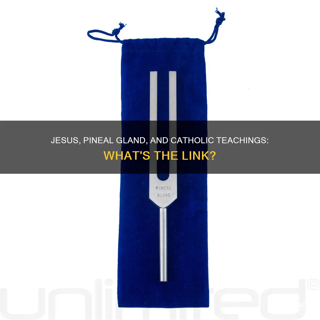 was jesus talking about pineal gland catholic