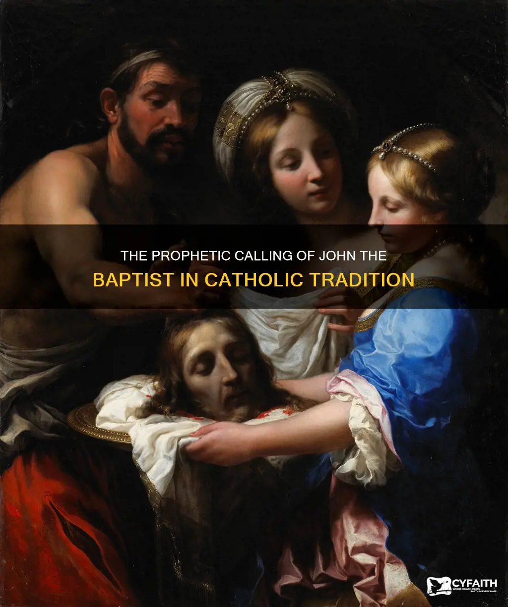 was john the baptist a prophet catholic