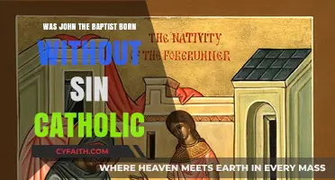 The Immaculate Conception of John the Baptist