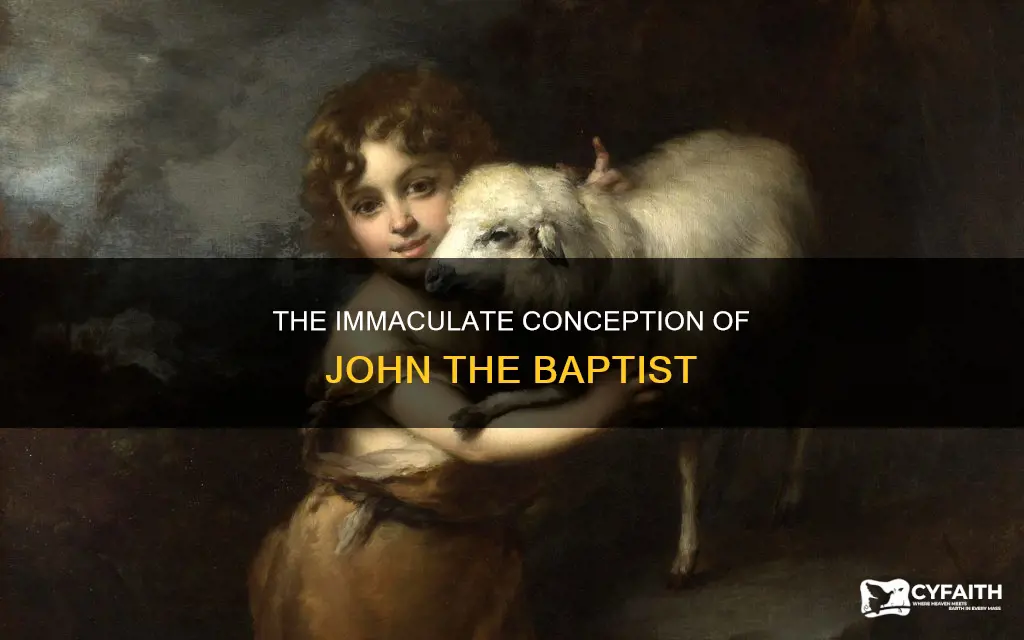 was john the baptist born without sin catholic