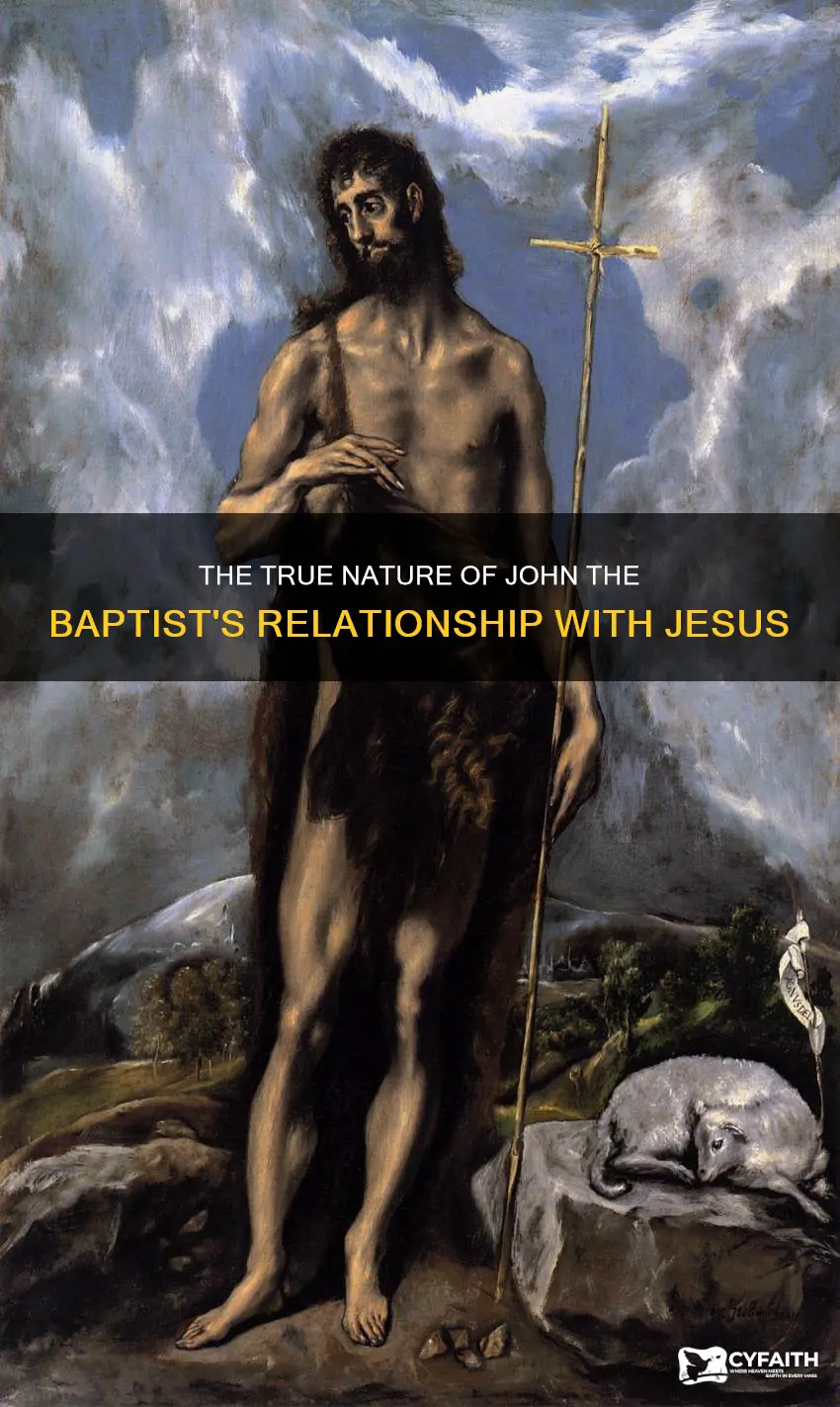 was john the baptist jesus cousin catholic