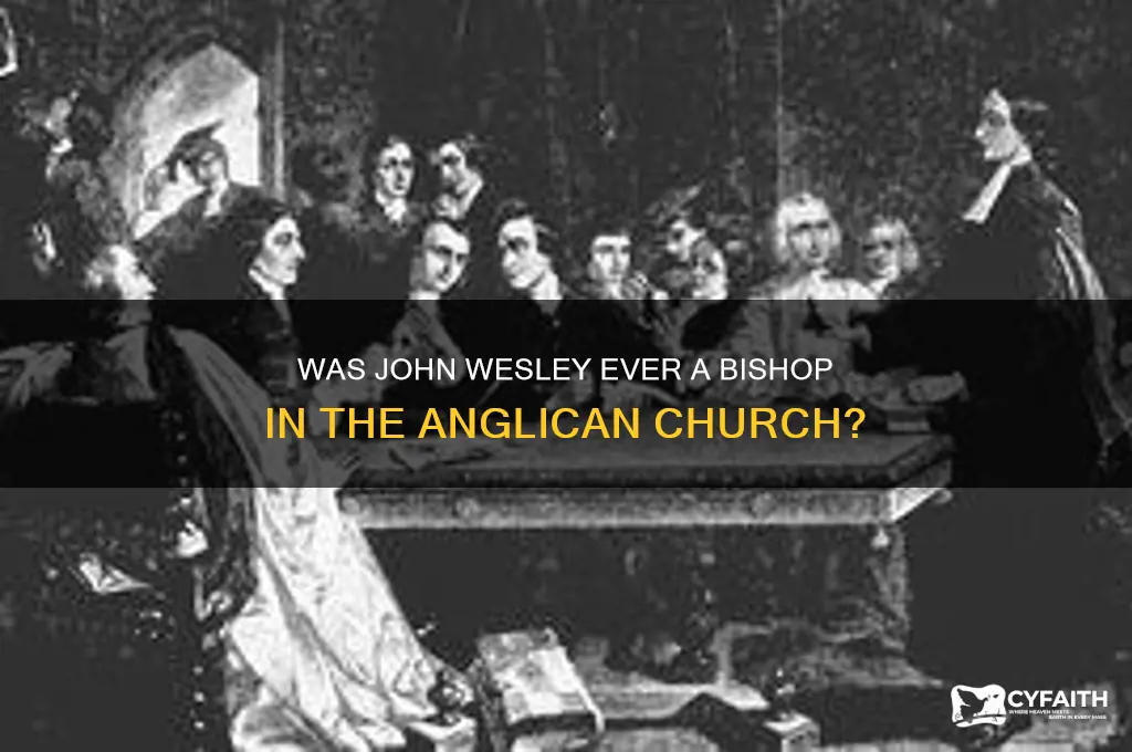 was john wesley a bishop in the anglican church