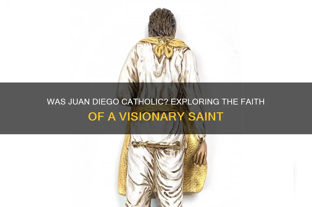 was juan diego catholic