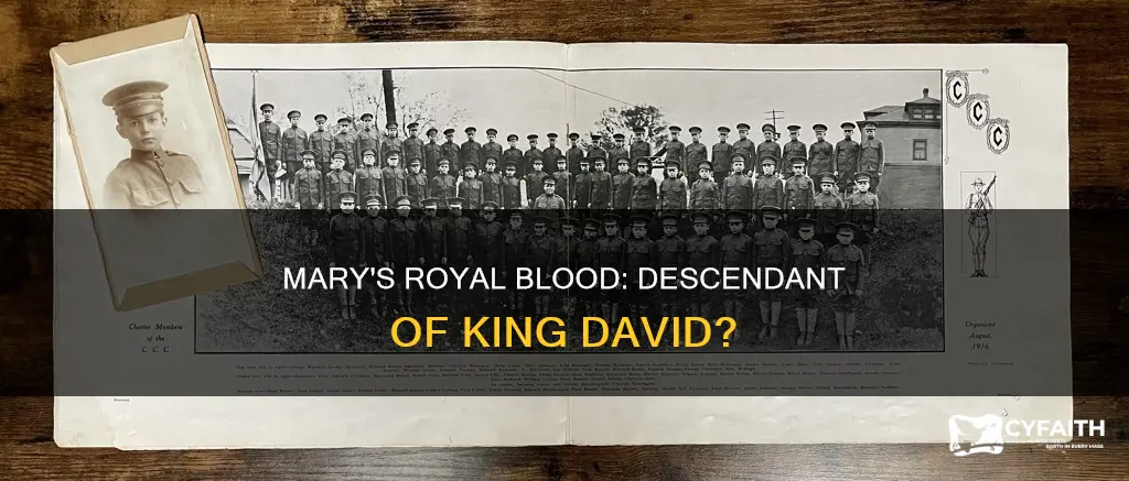 was mary a descendant of king david catholic