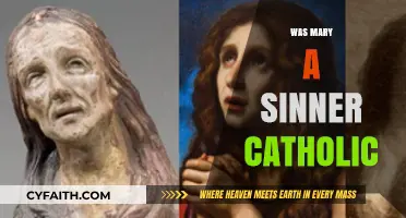 Was Mary a Sinner? Exploring Catholic Doctrine and Tradition