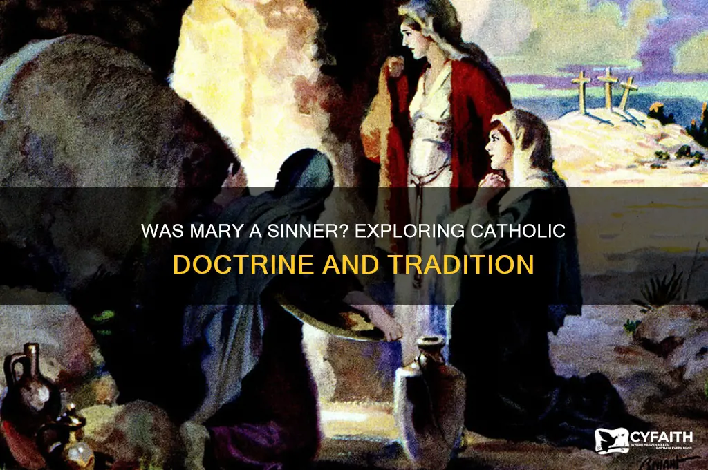 was mary a sinner catholic