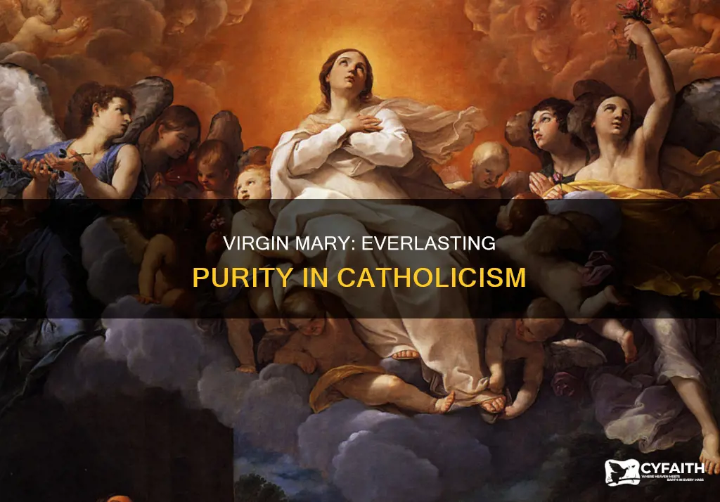 was mary a virgin her whole life catholic