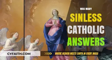 Mary's Sinless Nature: Catholic Teachings and Scriptural Insights Explored