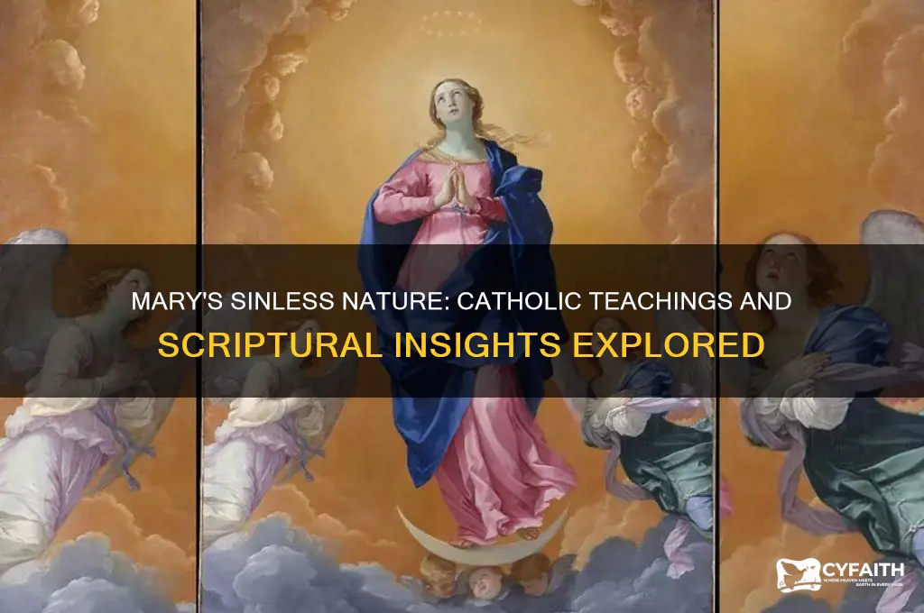 was mary sinless catholic answers