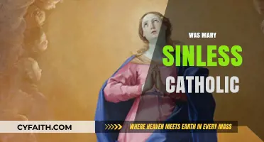 Was Mary Sinless? Exploring Catholic Teachings on the Immaculate Conception