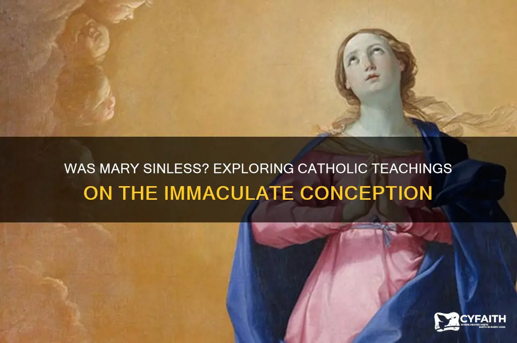 was mary sinless catholic