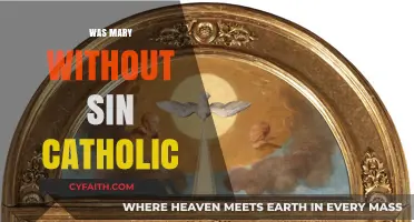 Was Mary Sinless? Exploring Catholic Doctrine on the Immaculate Conception