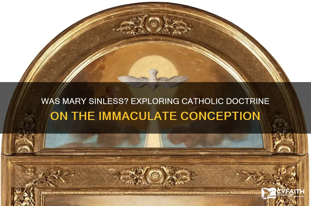 was mary without sin catholic