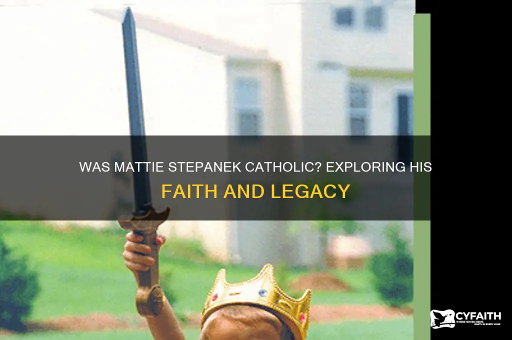 was mattie stepanek catholic