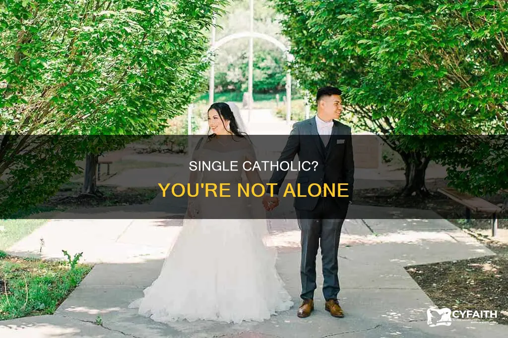 was never married to begin with catholic