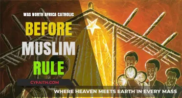 North Africa's Religious Transformation: From Catholic to Muslim Rule