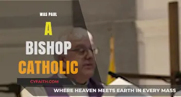 Was Paul a Bishop? Exploring Catholic Tradition and Apostolic Roles