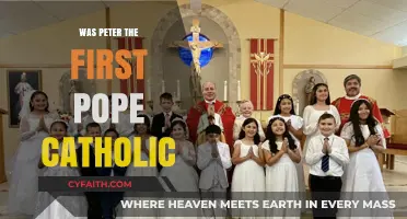 Peter's Papacy: Catholic or Not?
