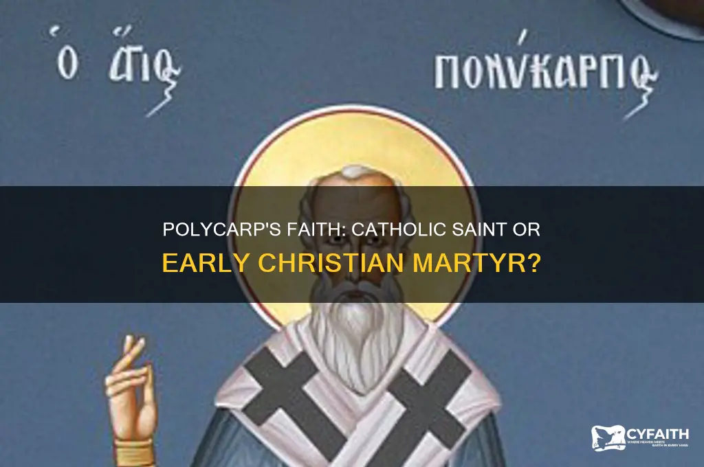 was polycarp a catholic