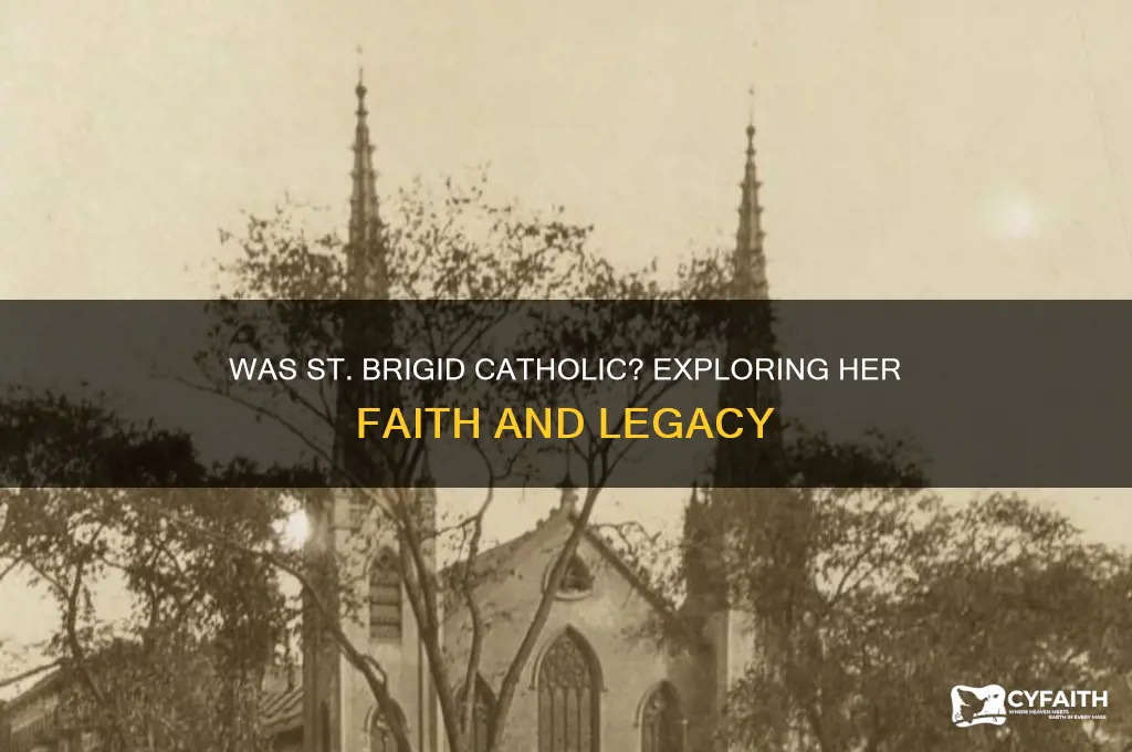was st brigid catholic