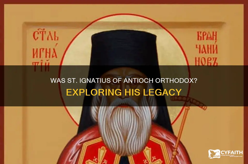 was st ignatius an orthodox church