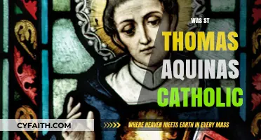 Was St. Thomas Aquinas a Devout Catholic Theologian?