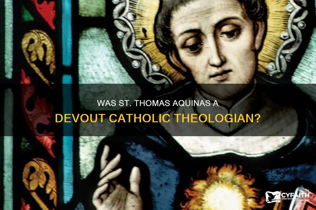 was st thomas aquinas catholic