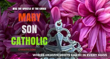 Was the Apostle at the Cross Mary's Son in Catholic Tradition?