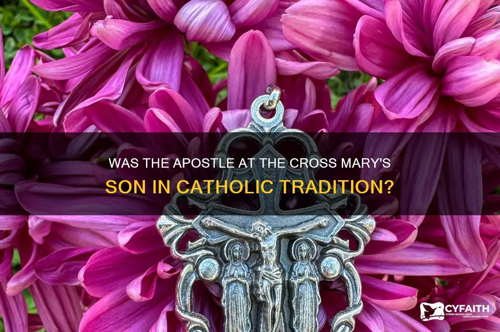 was the apostle at the cross mary son catholic