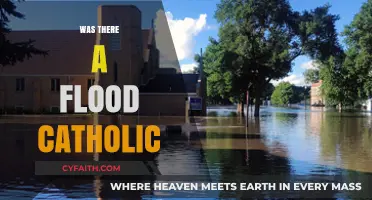 Was There a Great Flood? Catholic Perspectives on the Biblical Story