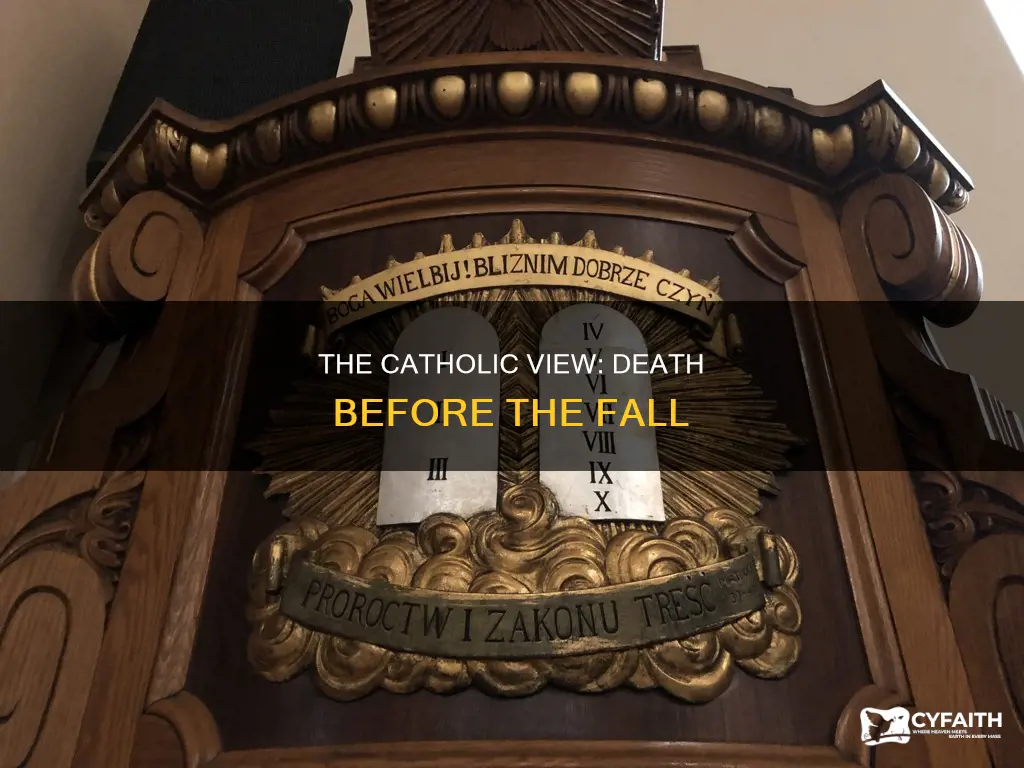 was there death before the fall catholic