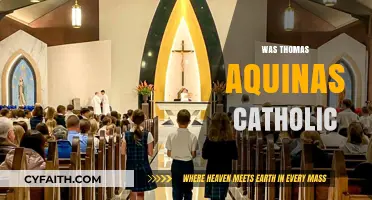 Thomas Aquinas: His Catholic Faith and Philosophical Legacy Explored