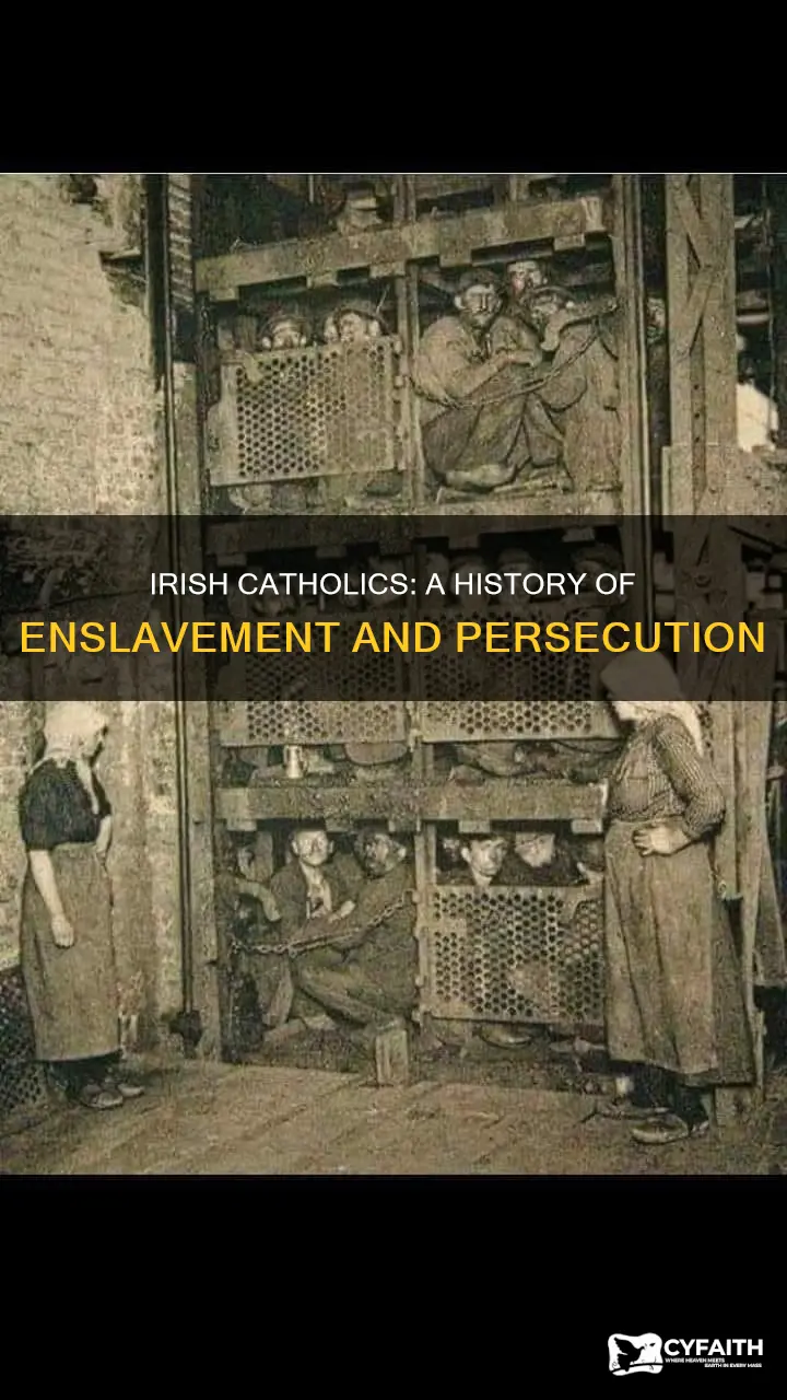 were 500 000 irish catholics sold as slaves