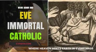 Adam and Eve: Catholic View on Immortality