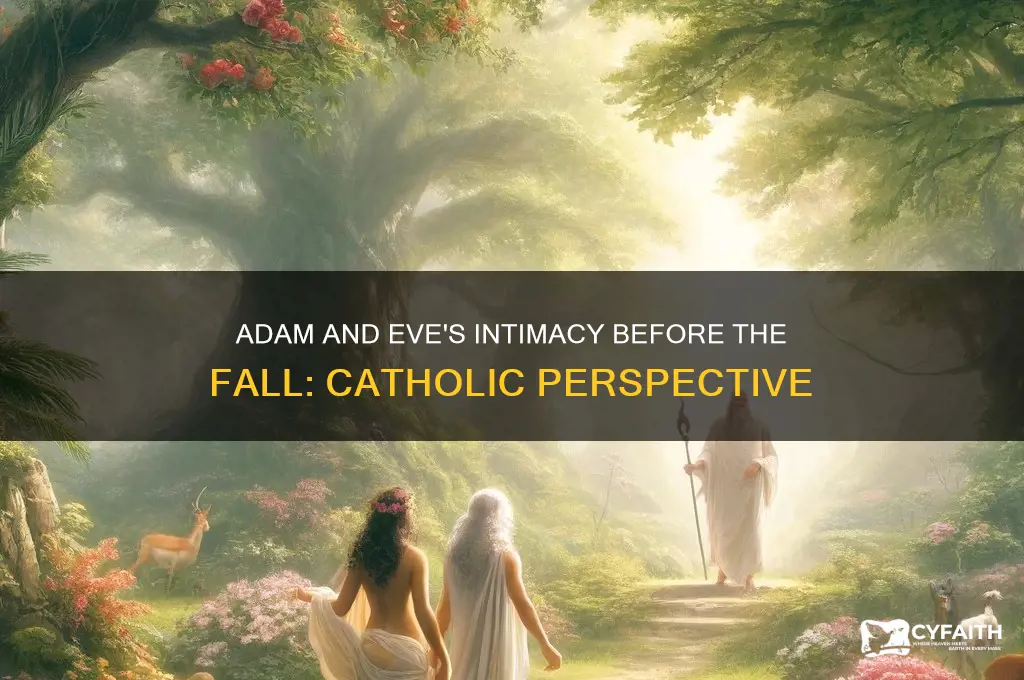 were adam and eve intimate before the fall catholic