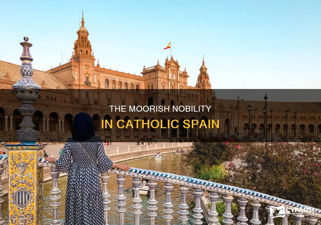 were any nobility among moors in catholic spain