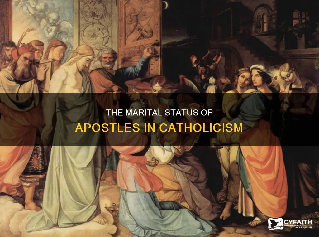 were any of the apostles married catholic