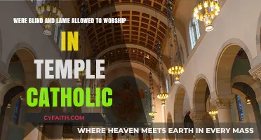 Catholic Temple Worship: Inclusion of Blind and Lame Individuals Explored