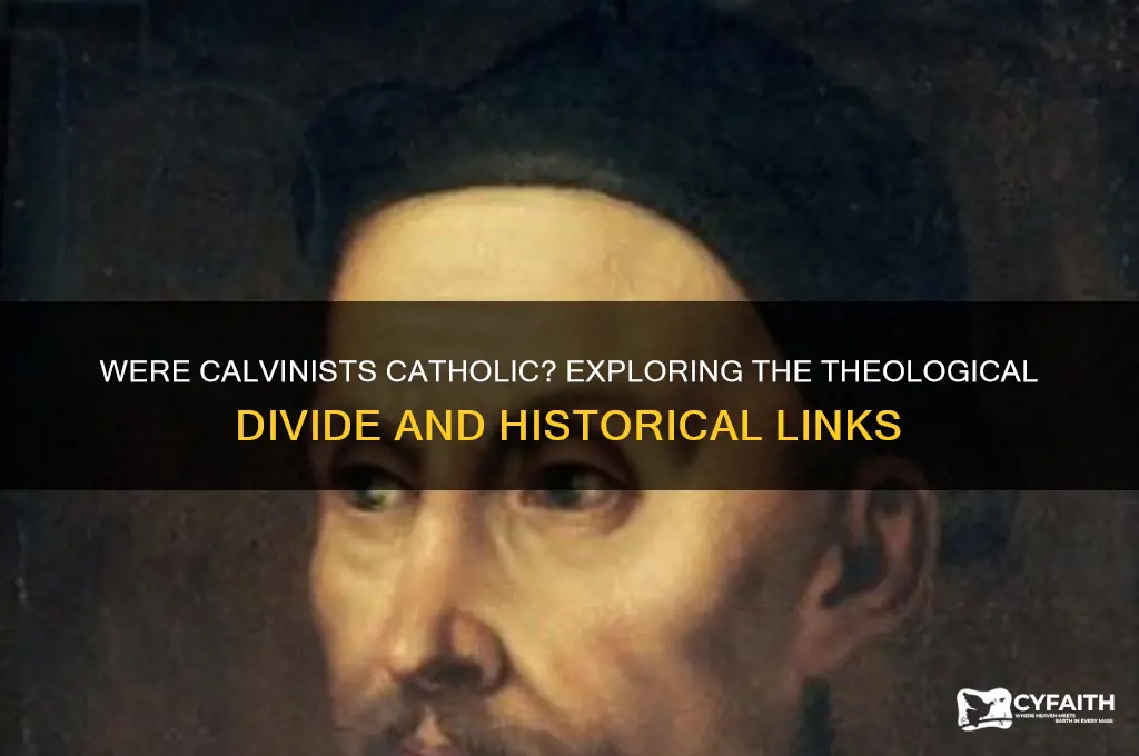 were calvanists catholic
