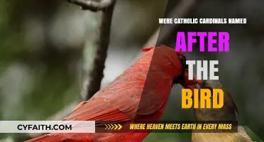 The Cardinals: How Did They Get Their Name?