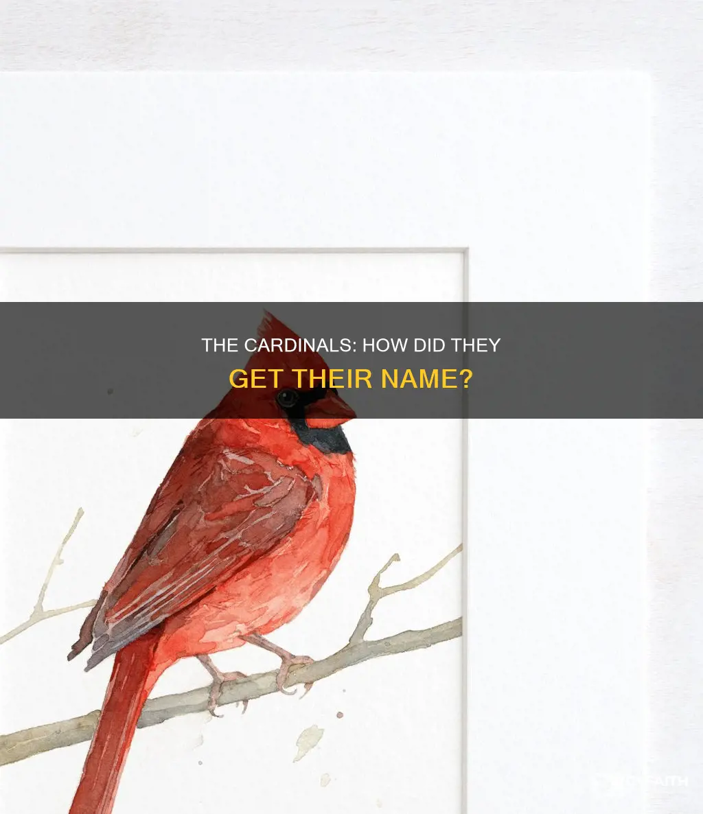 were catholic cardinals named after the bird