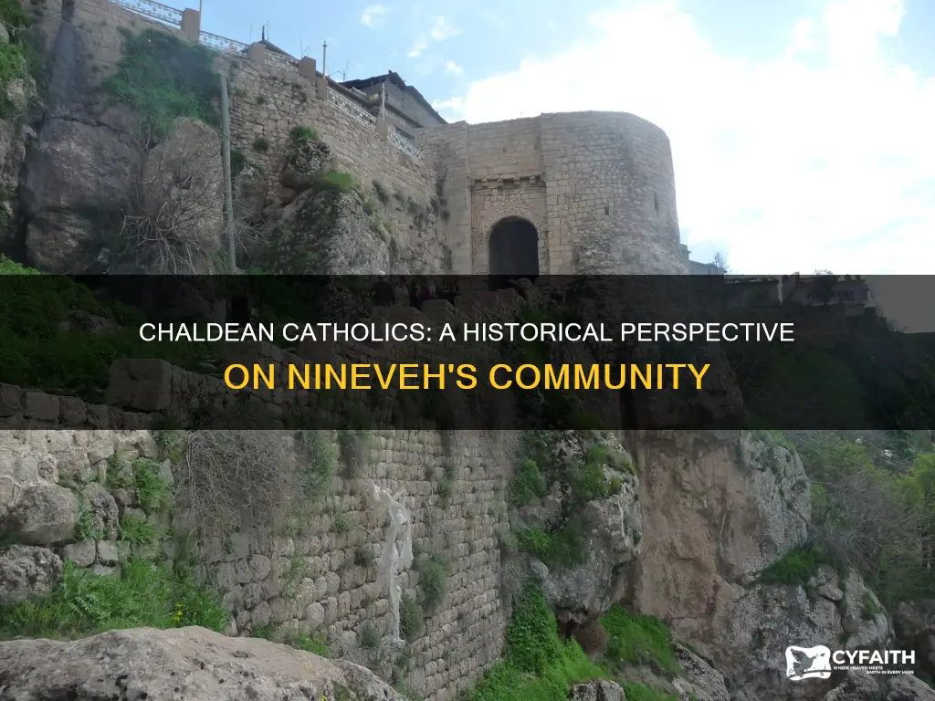 were catholic chaldean from nineveh bad
