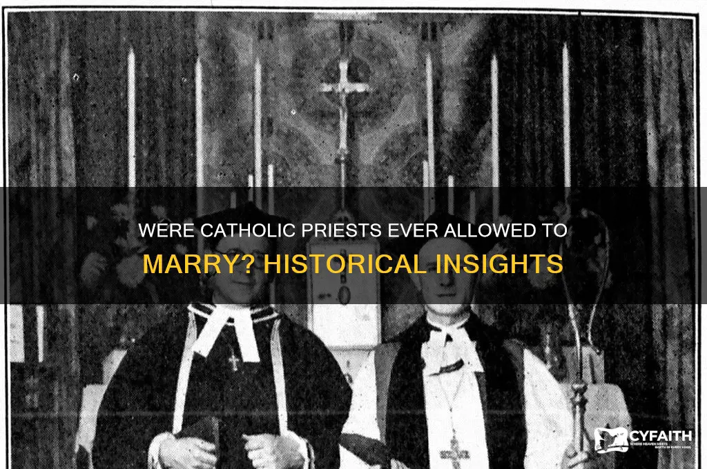 were catholic prishs very married