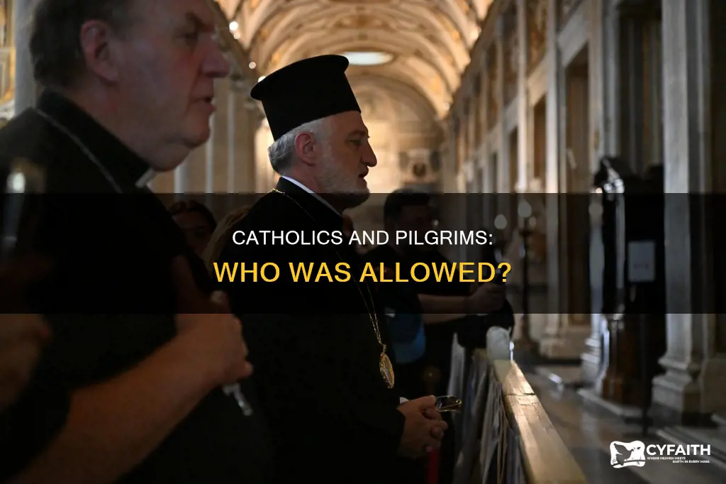 were catholics allowed by the pilgrams