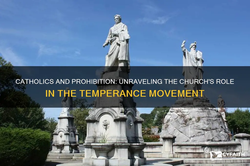were catholics for prohabition