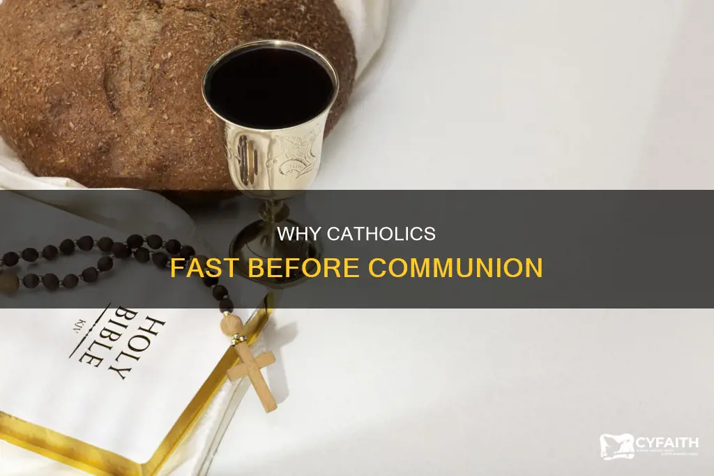 were catholics not supposed to eat before communion