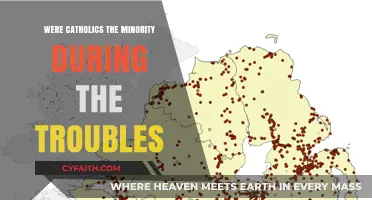 Troubles' Turmoil: Catholics a Minority?