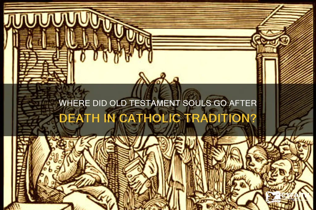 were did old testmanet go when they died catholic